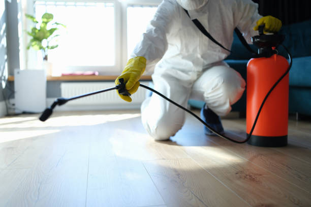 Trusted Forest Lake, MN Pest Control Experts