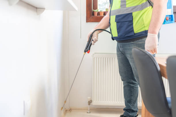Best Affordable Pest Control Services  in Forest Lake, MN