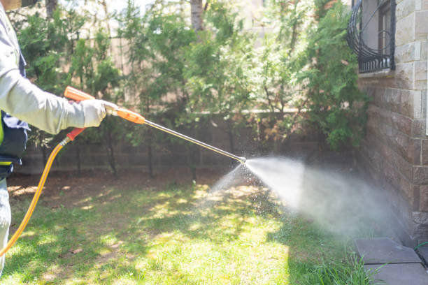 Best Local Pest Control Services  in Forest Lake, MN