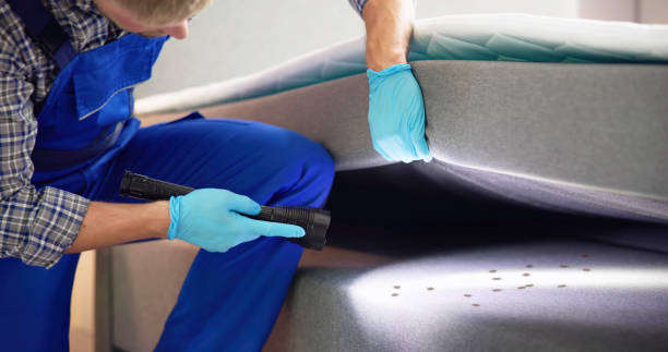 Best Commercial Pest Control Services  in Forest Lake, MN