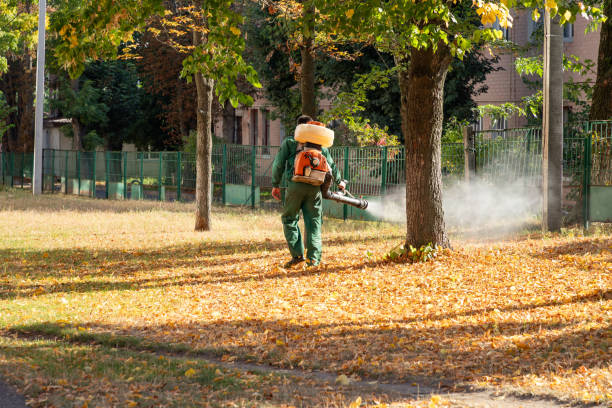 Best Affordable Pest Control Services  in Forest Lake, MN