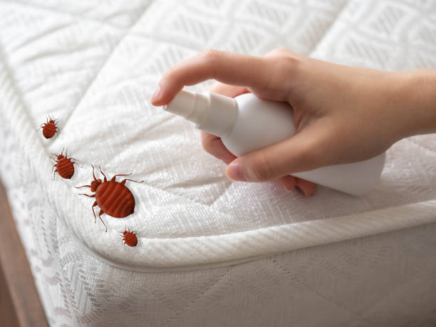 Best Best Pest Control Companies  in Forest Lake, MN