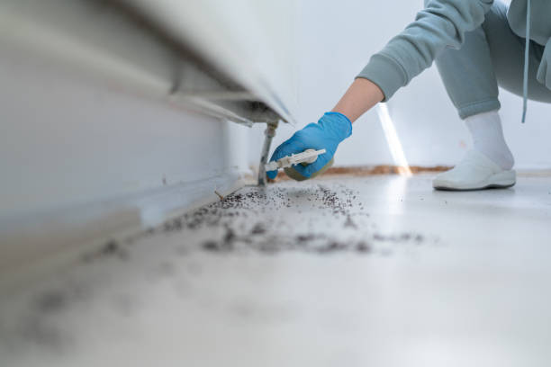 Best Pest Control for Businesses  in Forest Lake, MN